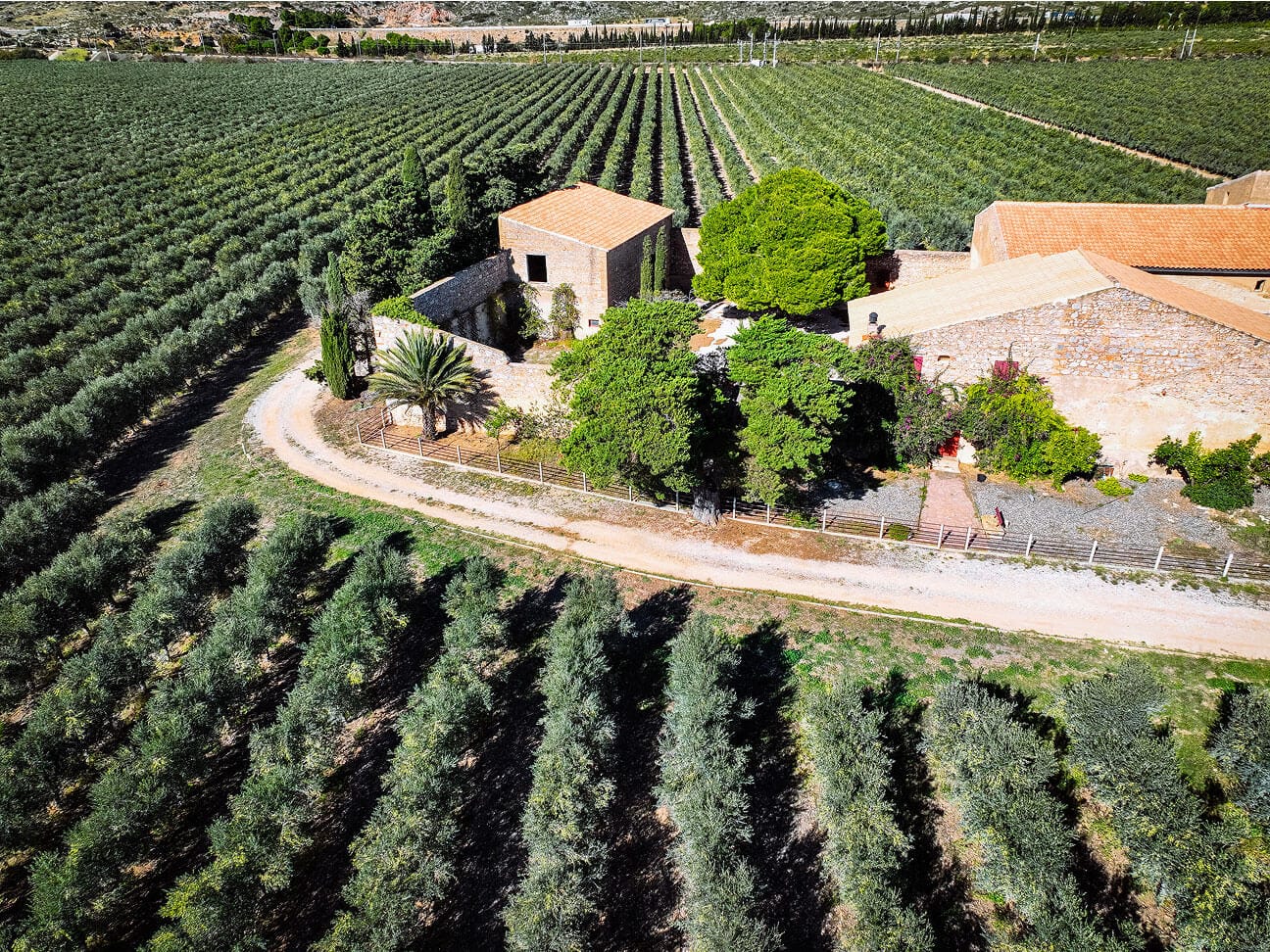 Focus aérien du Mas de la Grange, berceau de l'huile d'olive Papillon
