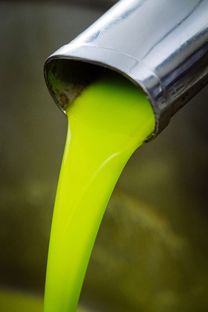 Extraction de l'huile d'olive bio Papillon