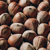 Noisette fraîche